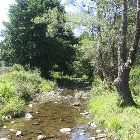 Река Арчар