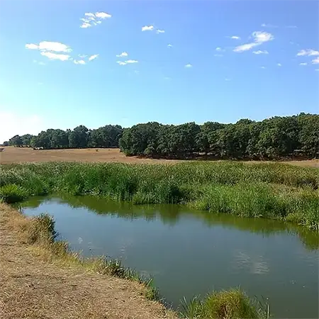 Река Калница