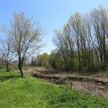 Река Пясъчник