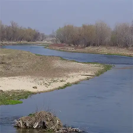 Река Стряма