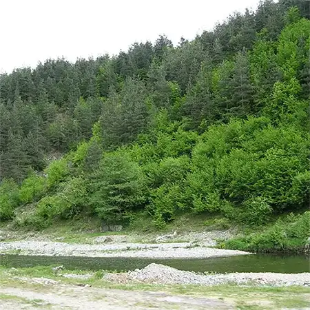 Река Върбица
