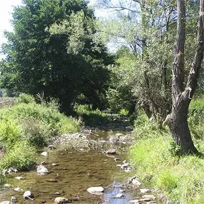 Река Арчар
