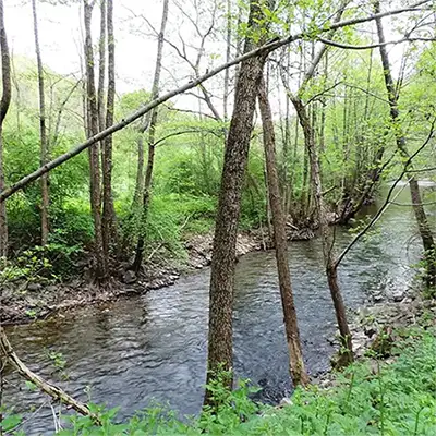 Река Добричка