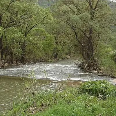 Река Нишава