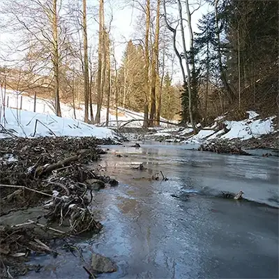 Река Потока