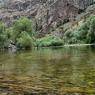 Река Сенковец
