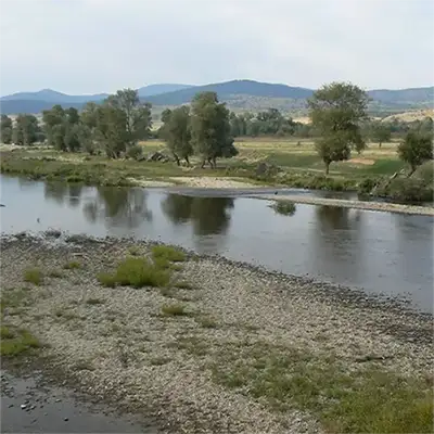 Река Тополница
