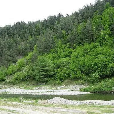 Река Върбица