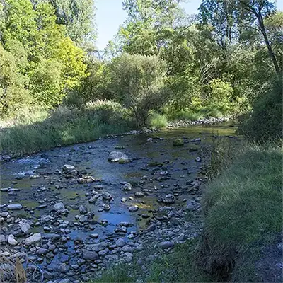 Река Височица