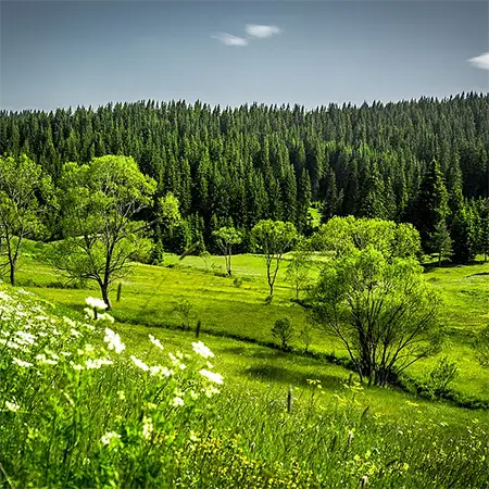 Средногорски гори