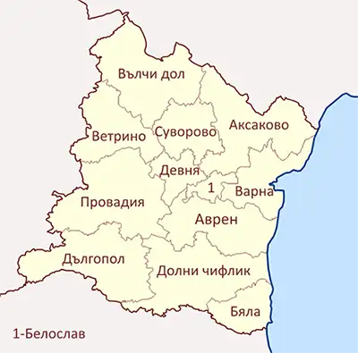 Варна (област)
