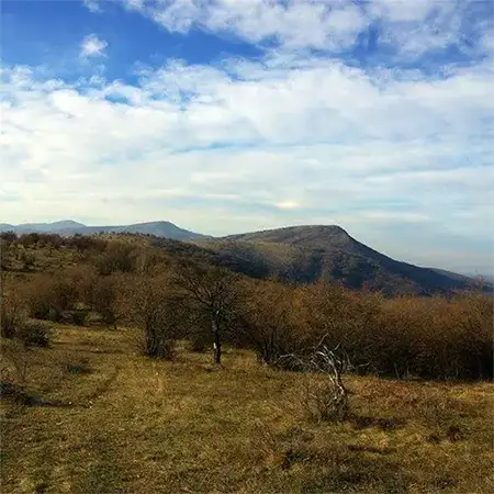 Веренишко бърдо
