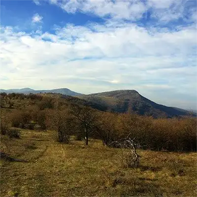 Веренишко бърдо