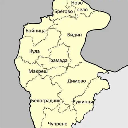 Видин (област)