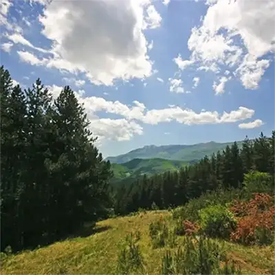 Язова планина