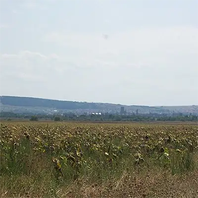 Забелски рид