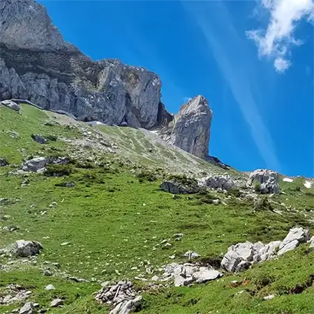 Зъбера