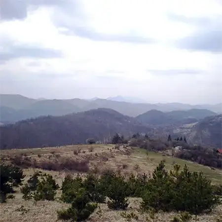 Завалска планина