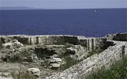 Аполония Понтика