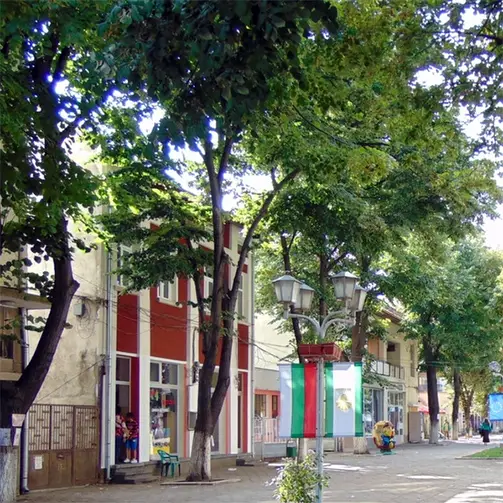 Бяла Слатина