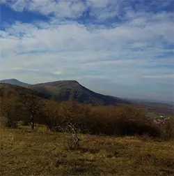 Веренишко бърдо