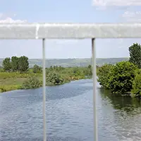 Вит при Гулянци