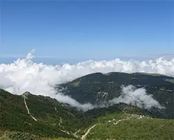 Владимировски рид