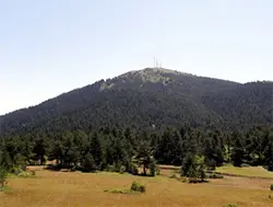 Гологлавски височини