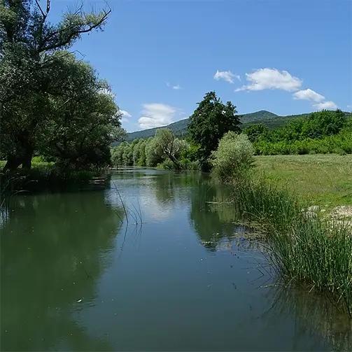 Голяма река