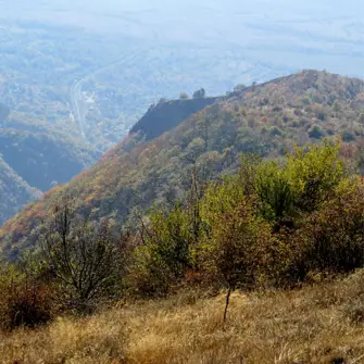 Гълъбец планина