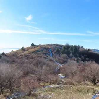 Дебелец (рид)