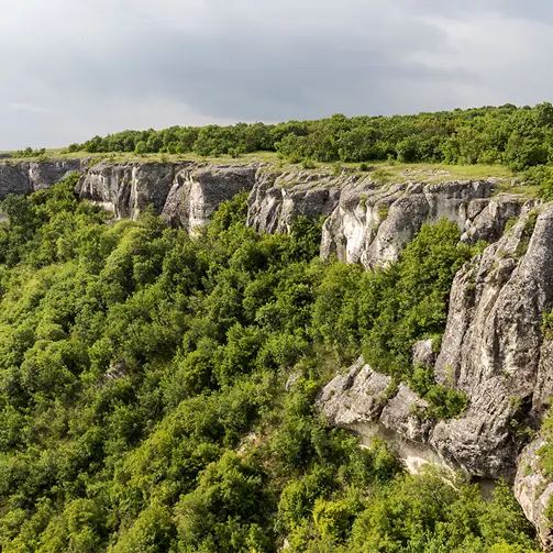 Добринско плато