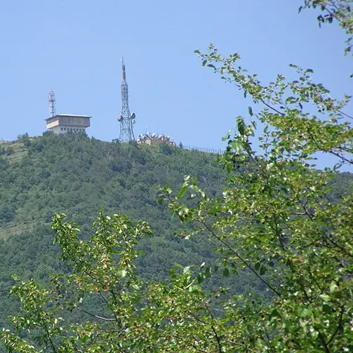 Драгойца (рид)