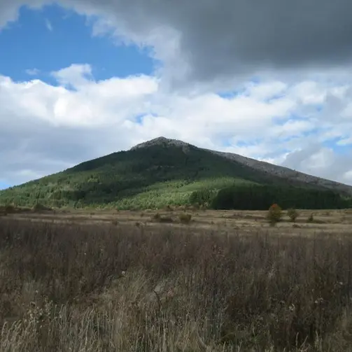 Еловишка планина