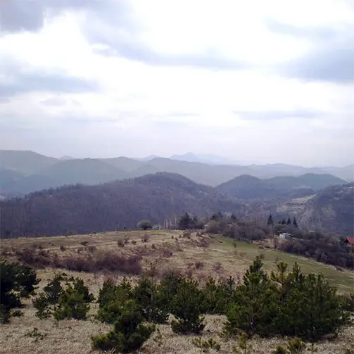 Завалска планина