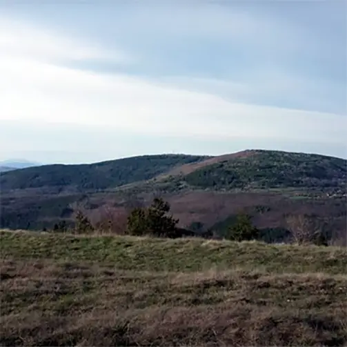 Изворска планина