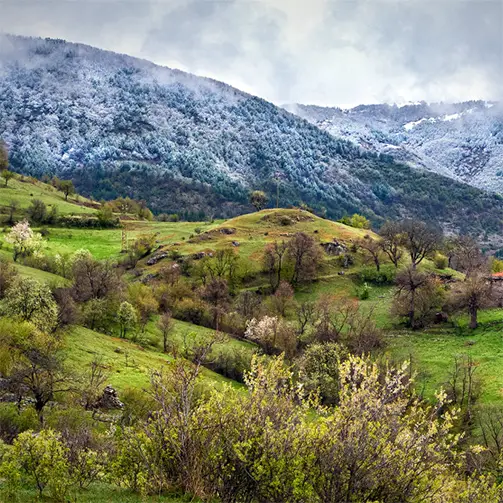 Кайнадински рид