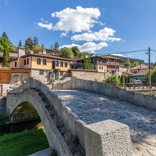 Копривщица