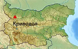 Криводол Местоположение на картата на България