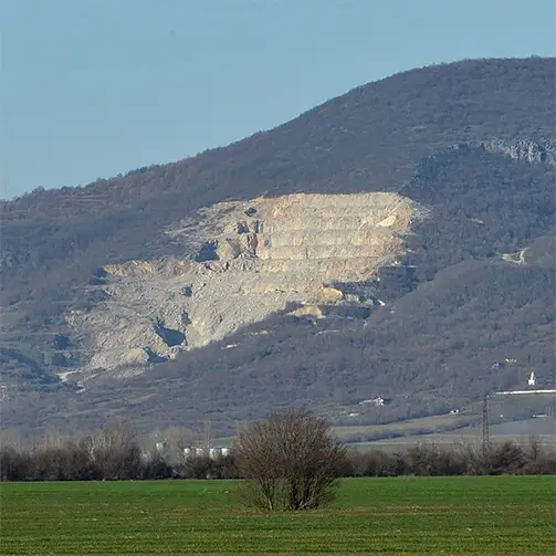 Лакавица (рид)