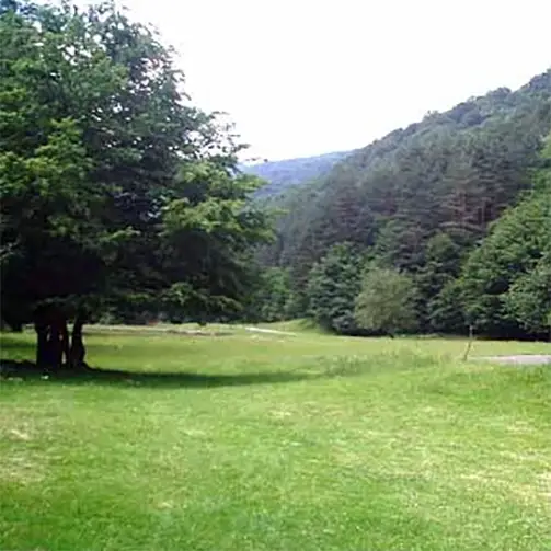 Лествица (планина)