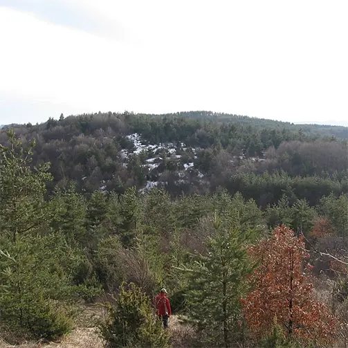 Лешниковска планина