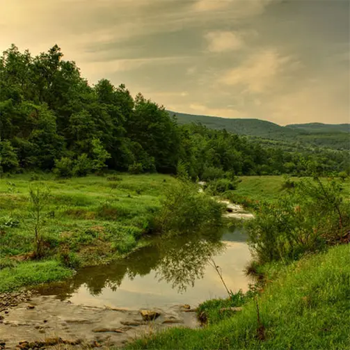 Лиса планина