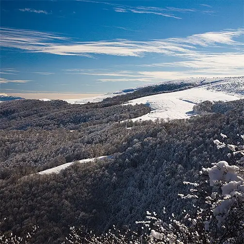 Малешевска планина