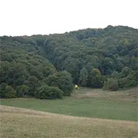 Манастирски поляни