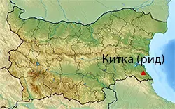 Местоположение на картата на България Китка (рид)