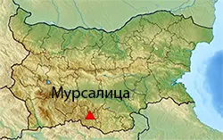 Местоположение на картата на България Мурсалица