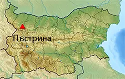 Местоположение на картата на България Пъстрина