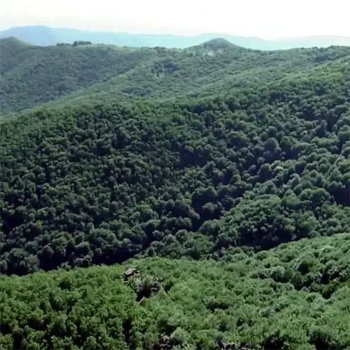 Негушевски рид