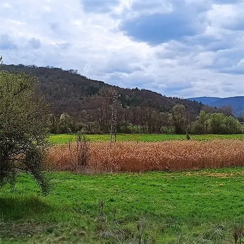 Пенкьовска планина